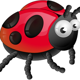 Божья коровка