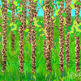 Леопардовые березы