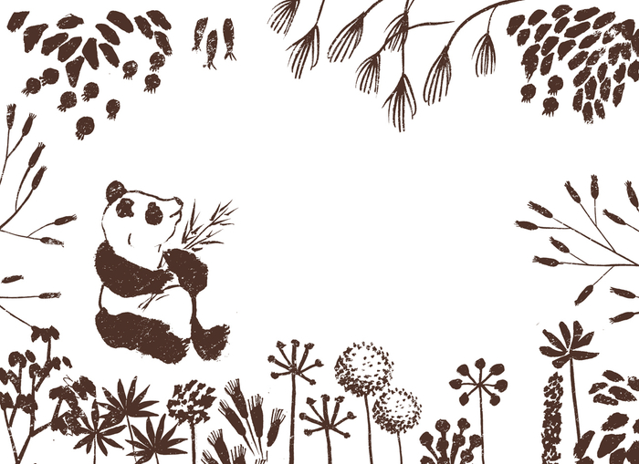 Черно-белая жизнь панд среди зеленых лесов-2