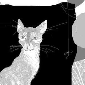 Кошка с рыбкой