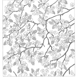 Яблоня в цвету.