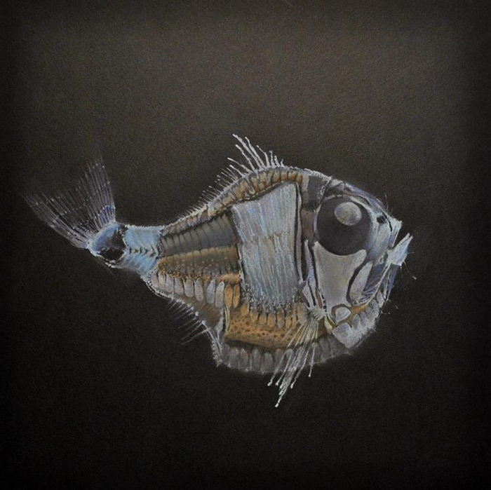 Глубоководное