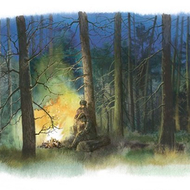 Ночной костёр