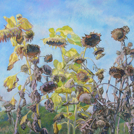 "Теплый сентябрь"