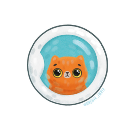 Проверяйте стиральные машины перед использованием!