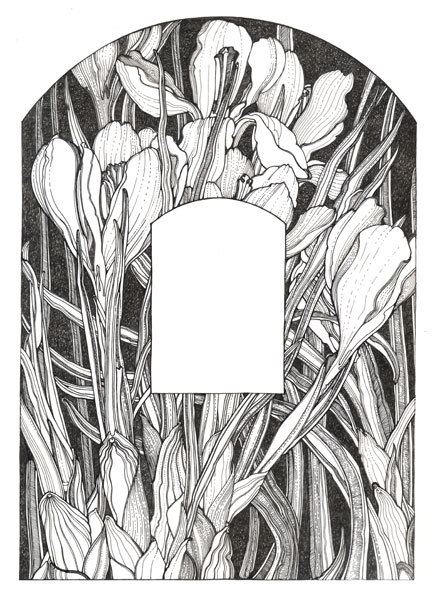 Оборочная иллюстрация"Крокусы"