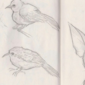 Из старых скетчей