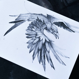 Ворон Одина 