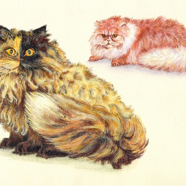 Перс - черепаха и красный дым...