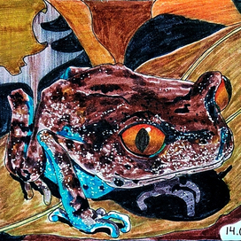 Тонкорукая чесночница Хендриксона