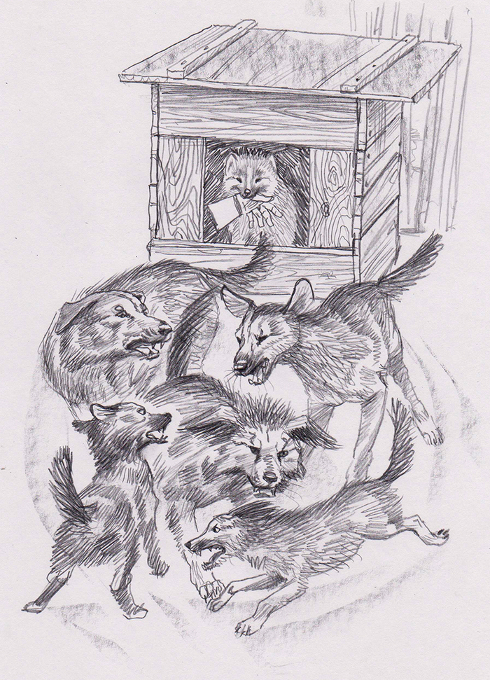 недопесок 43