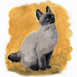 Той-бобтейл