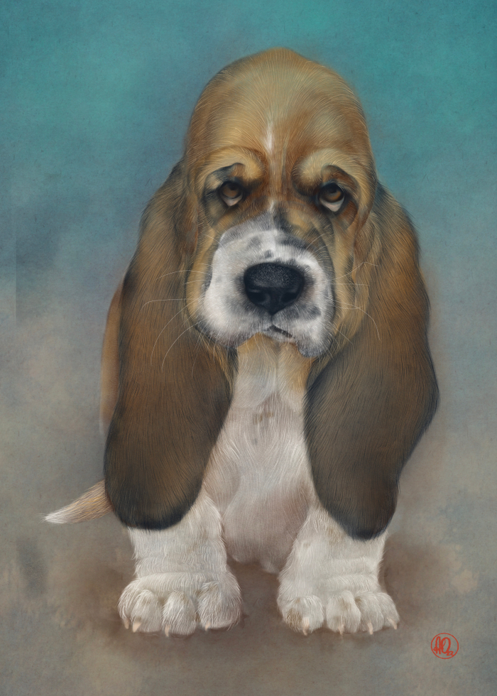 Совсем большой 