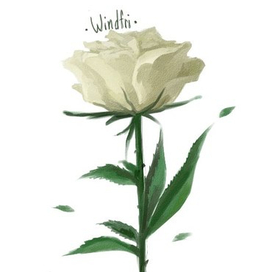 Логотип группы 