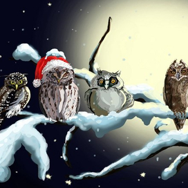 Сонные совушки