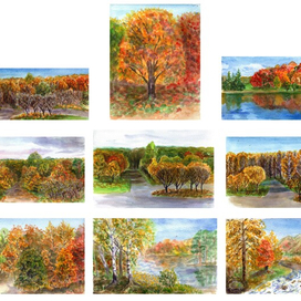 Осень 💛🧡🍁🍂