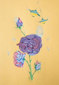 Без названия