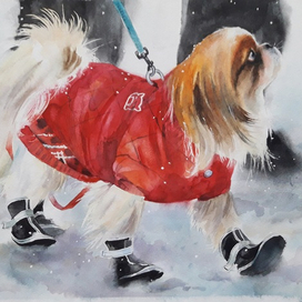 на прогулку