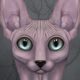 кот