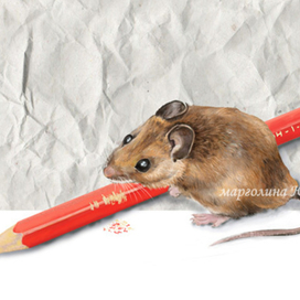 Мышка-все-с-грызушка