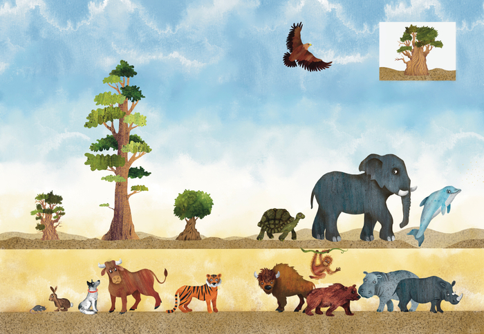 Разворот книги