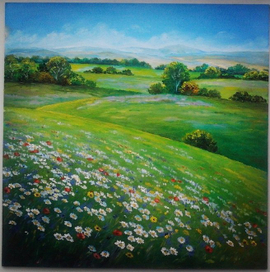 Ромашки спрятались