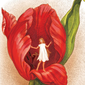 иллюстрация к Дюймовочке