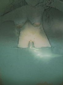 Неотложная ситуация на воде.