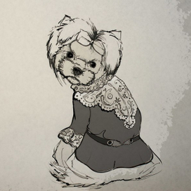 Одежда для собак 