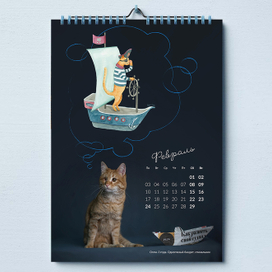 О чем мечтают кошки?