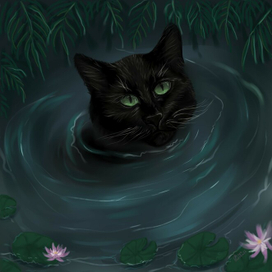 Черный кот в воде