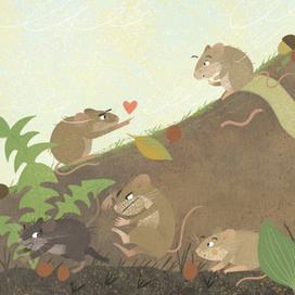 Семейная жизнь мышей