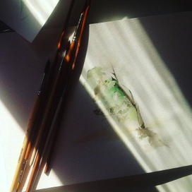 тенистое дерево