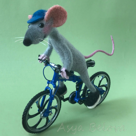 I want to ride my bicycle