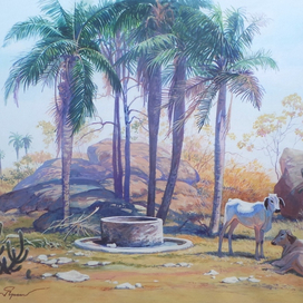 Колодец в окрестностях Сантана ду Карири́  (№1)