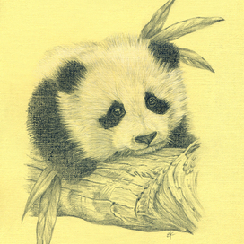 Задумчивая панда