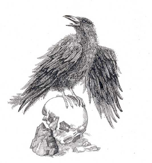 к книге "снежный странник" изд."Азбука"