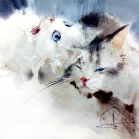 Котики. Валентинка.