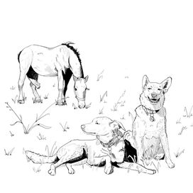 Иллюстрация для рассказа #1