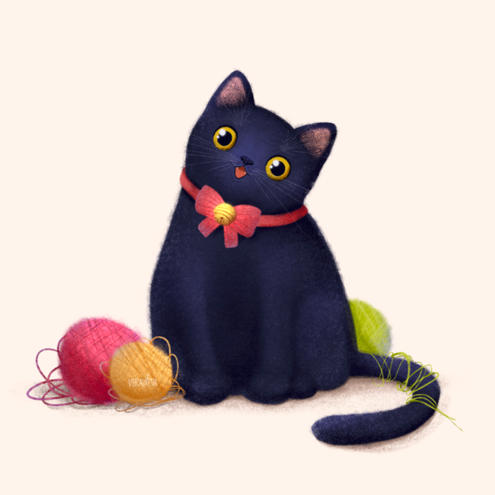 Чёрный Котик