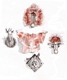 Африканские трофеи