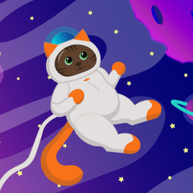 cat in space