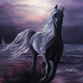 Арабская ночь