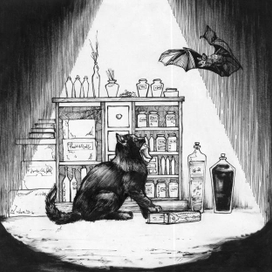 ** Ведьмин кот **