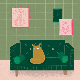 комната и кот 