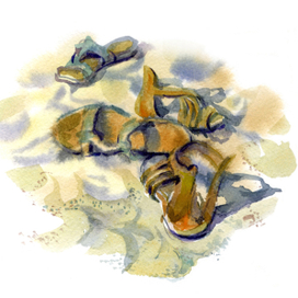 Море зовет!