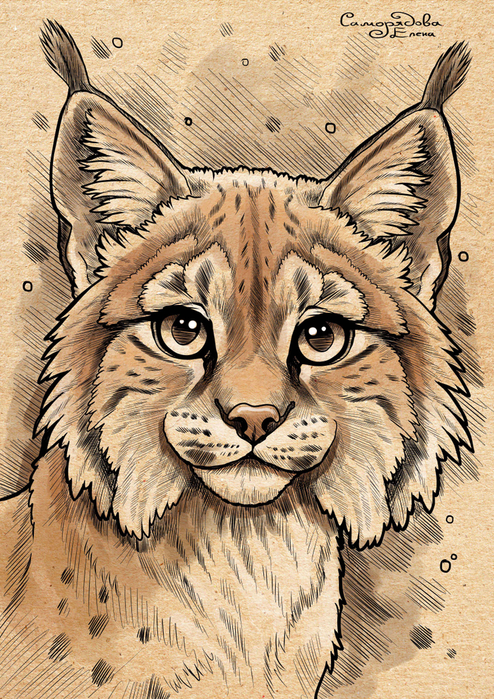 Иллюстрация для книги