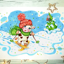 Зимние виды спорта