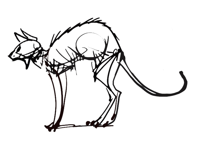 кошка зевок