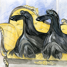 Афганы и диваны. Серия «Любимые афганы».